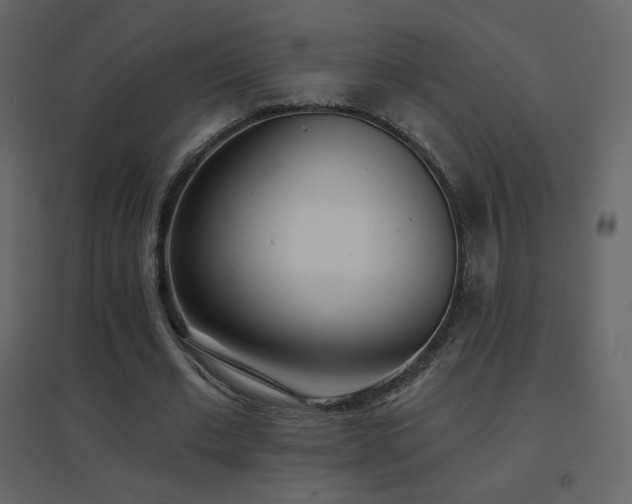 X0000096690677200802051347