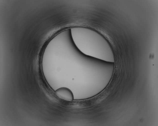 X0000096690678200802051347