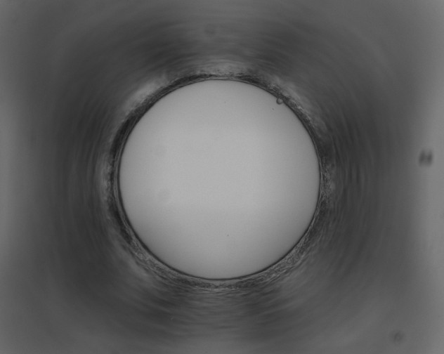 X0000096690679200802051347