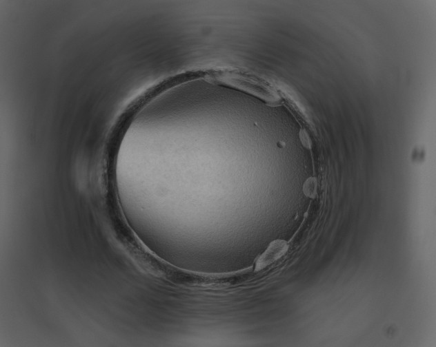 X0000096690680200802051347