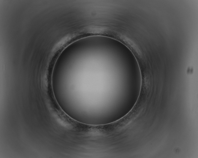 X0000096690682200802051347