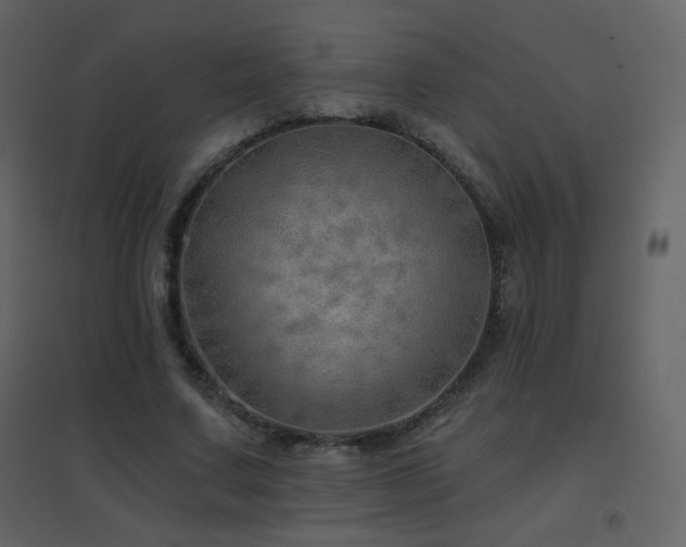 X0000096690683200802051347