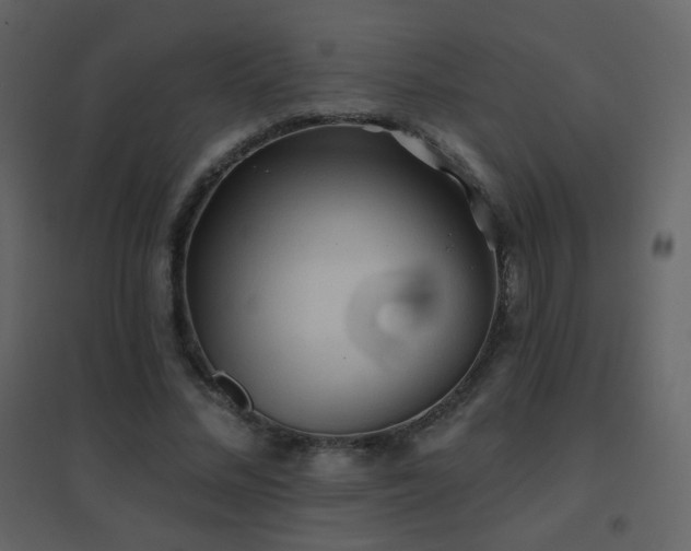 X0000096690684200802051347