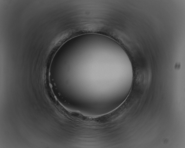 X0000096690685200802051347