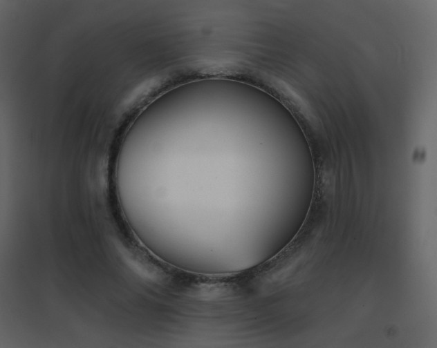 X0000096690686200802051347