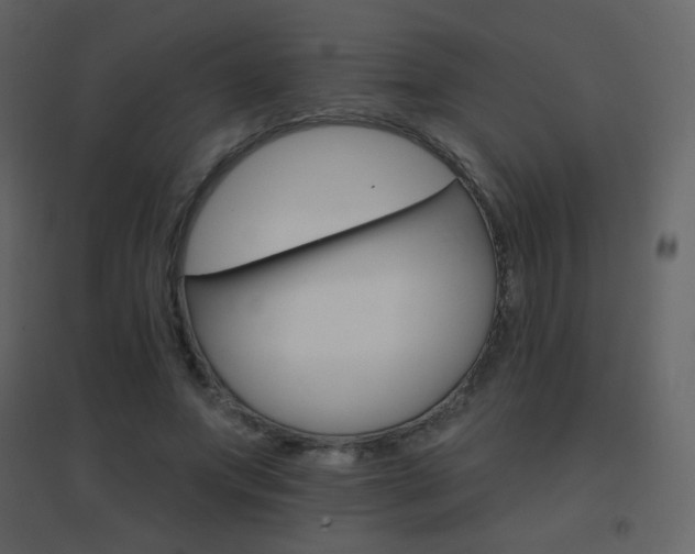 X0000096690687200802051347