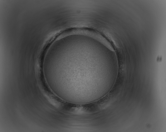 X0000096690688200802051347