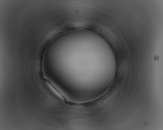 X0000096690689200802051347