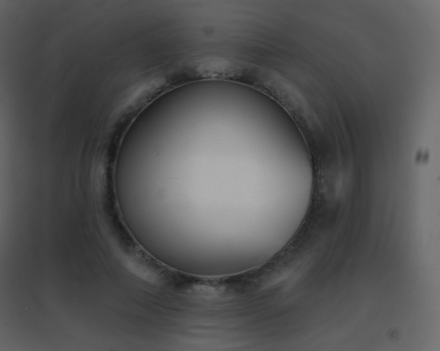 X0000096690690200802051347