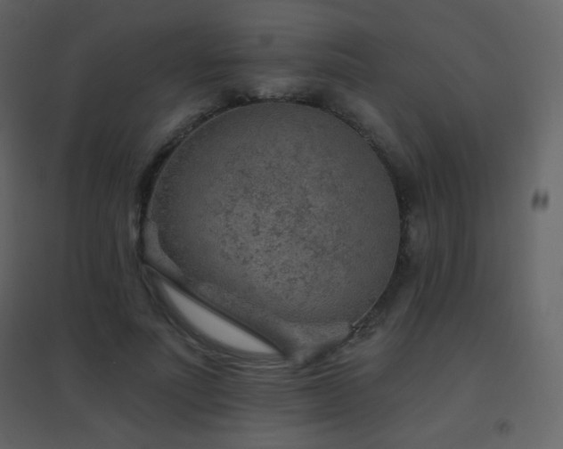 X0000096690691200802051347