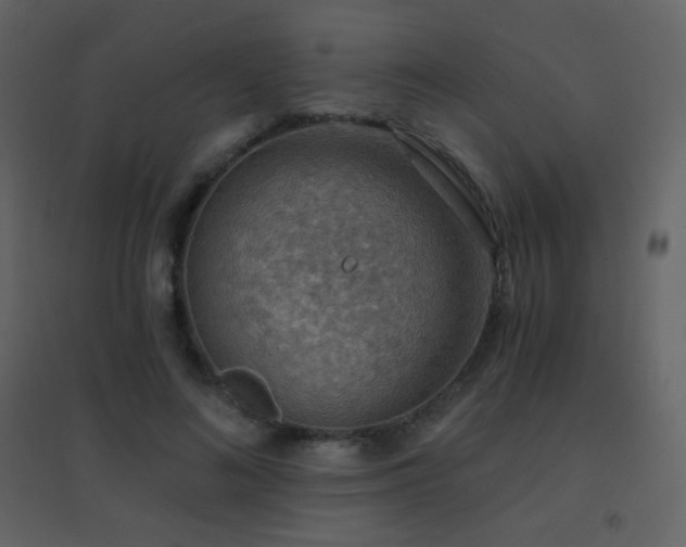 X0000096690692200802051347