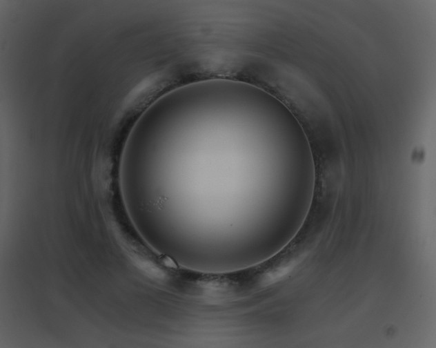 X0000096690693200802051347