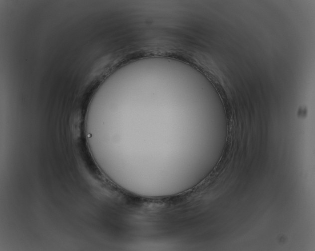 X0000096690694200802051347