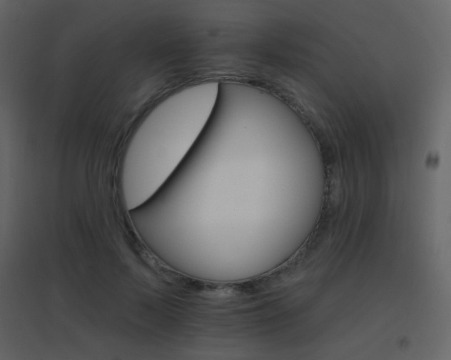 X0000096690695200802051347