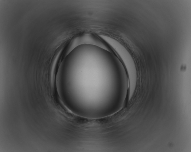 X0000096690696200802051347