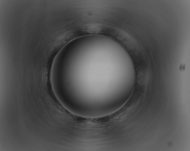 X0000096690697200802051347