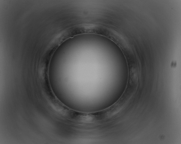 X0000096690698200802051347