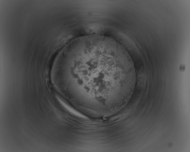 X0000096690699200802051347