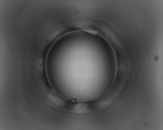 X0000096690700200802051347