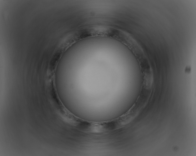 X0000096690701200802051346