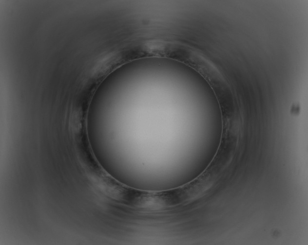 X0000096690702200802051346