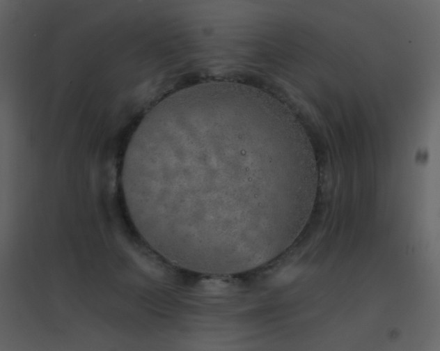 X0000096690703200802051346