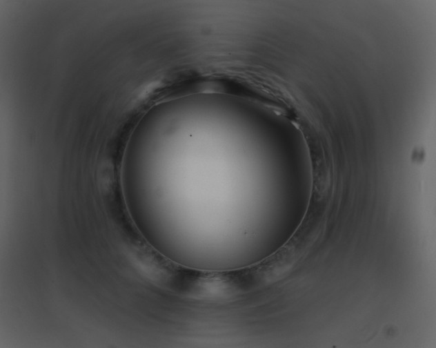 X0000096690704200802051346