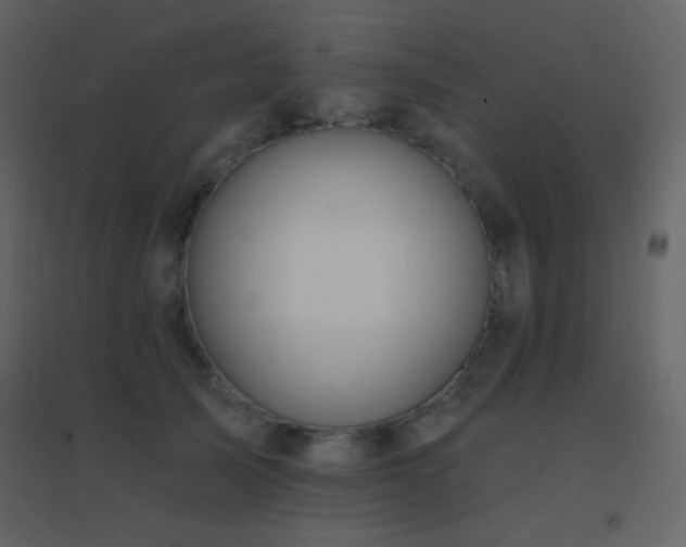 X0000096690705200802051346