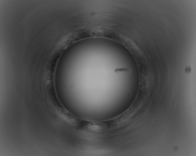 X0000096690706200802051346