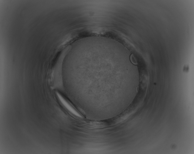 X0000096690707200802051346