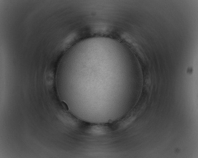 X0000096690708200802051346