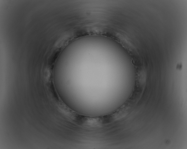 X0000096690709200802051346