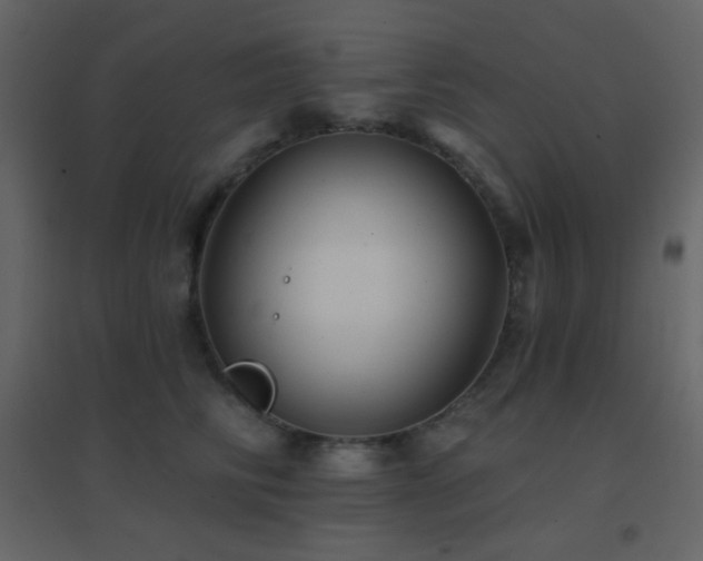 X0000096690710200802051346