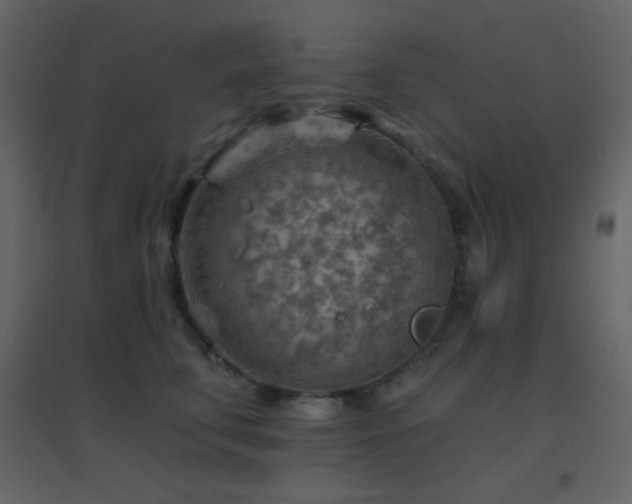 X0000096690711200802051346