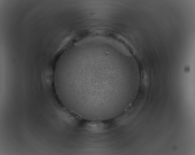 X0000096690712200802051346