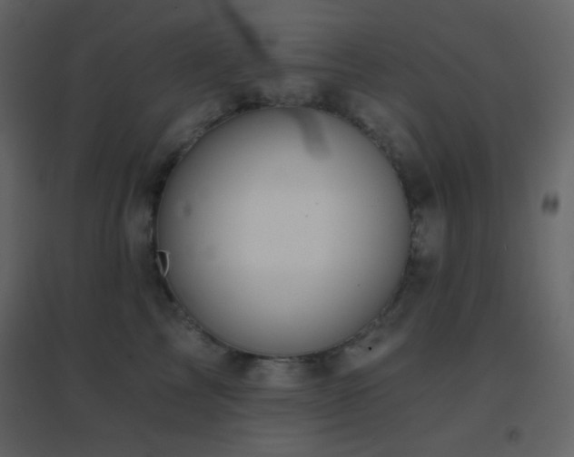 X0000096690713200802051346