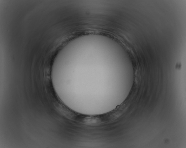 X0000096690714200802051346