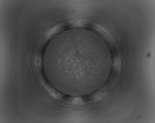 X0000096690715200802051346