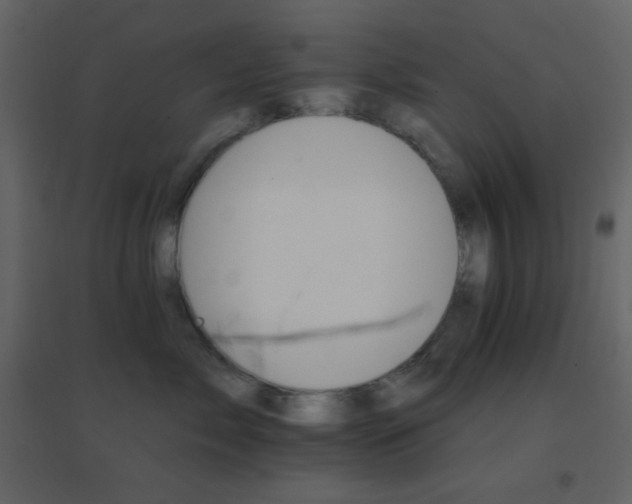 X0000096690717200802051346