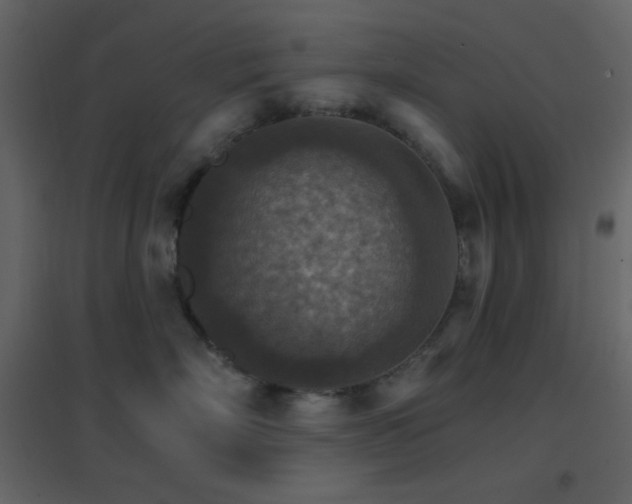 X0000096690718200802051346