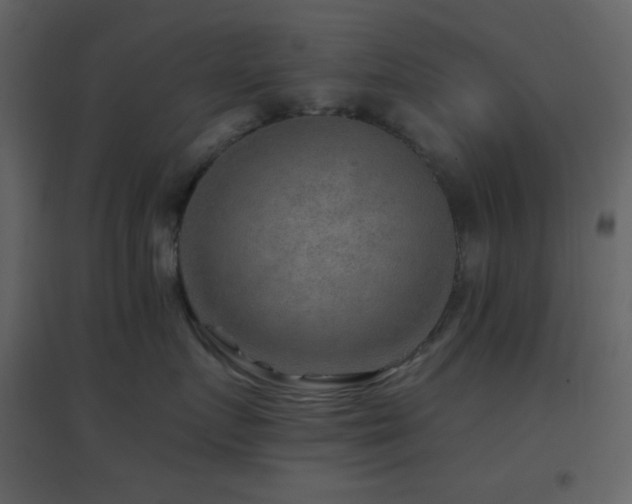 X0000096690719200802051346