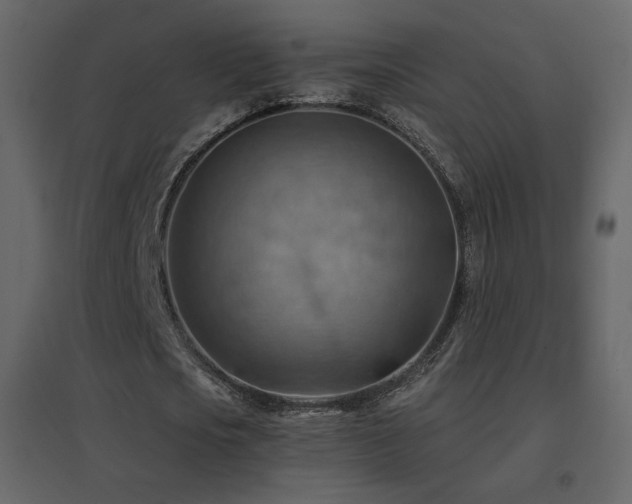 X0000096690721200802051346