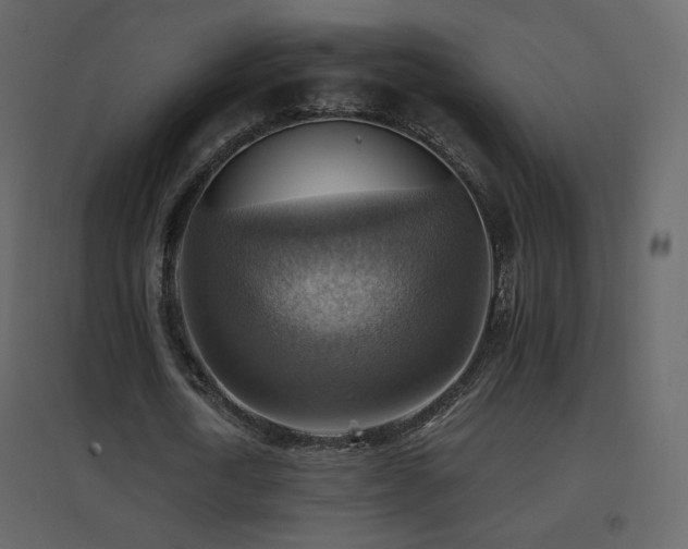 X0000096690722200802051346