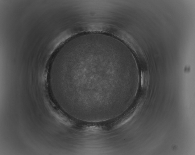 X0000096690723200802051346