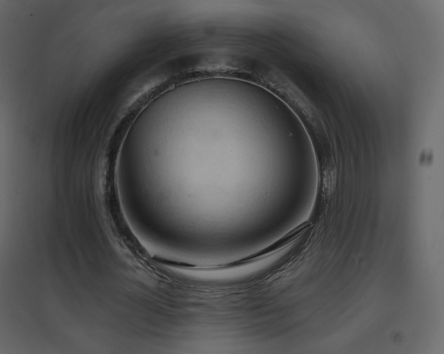 X0000096690724200802051346