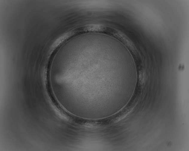 X0000096690725200802051346