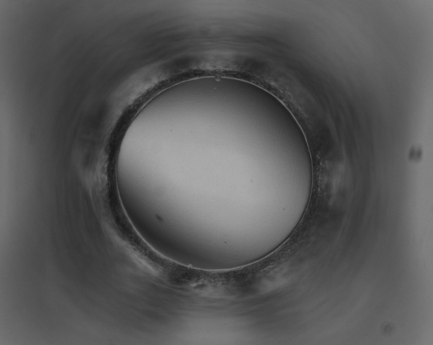 X0000096690727200802051346