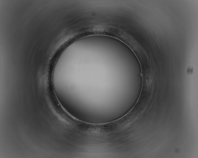 X0000096690728200802051346