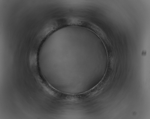 X0000096690729200802051346