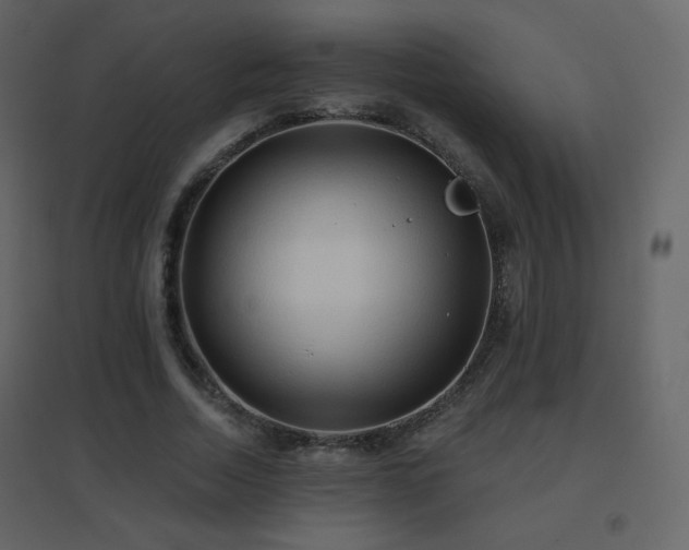 X0000096690730200802051346